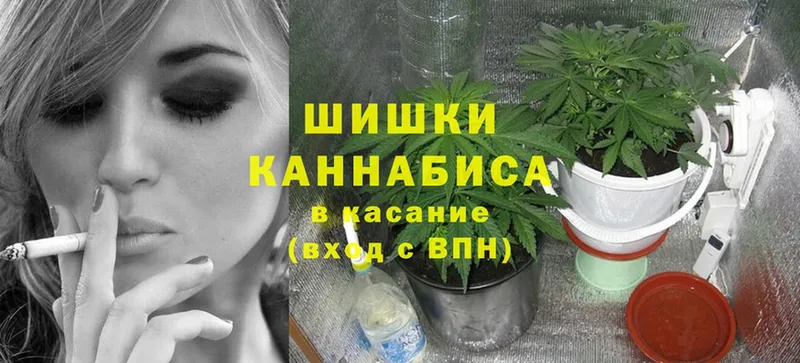 сайты даркнета наркотические препараты  Ногинск  Канабис конопля 